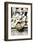 Fountain of Neptune, Piazza Navona, Rome, Latium, Italy, Europe-Nico Tondini-Framed Photographic Print