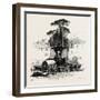 Fountain of Neptune, Rome and its Environs, Italy, 19th Century-null-Framed Giclee Print