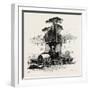 Fountain of Neptune, Rome and its Environs, Italy, 19th Century-null-Framed Giclee Print