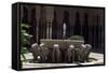 Fountain of Palace of Lions, Citadel of Alhambra-null-Framed Stretched Canvas