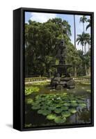 Fountain of the Muses, Rio De Janeiro Botanical Gardens, Rio De Janeiro, Brazil, South America-Gabrielle and Michael Therin-Weise-Framed Stretched Canvas