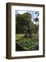 Fountain of the Muses, Rio De Janeiro Botanical Gardens, Rio De Janeiro, Brazil, South America-Gabrielle and Michael Therin-Weise-Framed Photographic Print