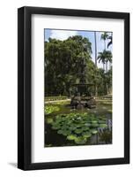 Fountain of the Muses, Rio De Janeiro Botanical Gardens, Rio De Janeiro, Brazil, South America-Gabrielle and Michael Therin-Weise-Framed Photographic Print