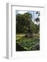 Fountain of the Muses, Rio De Janeiro Botanical Gardens, Rio De Janeiro, Brazil, South America-Gabrielle and Michael Therin-Weise-Framed Photographic Print