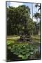 Fountain of the Muses, Rio De Janeiro Botanical Gardens, Rio De Janeiro, Brazil, South America-Gabrielle and Michael Therin-Weise-Mounted Photographic Print