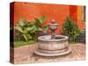 Fountain Plaza Juarez Park, San Miguel de Allende, Mexico.-William Perry-Stretched Canvas