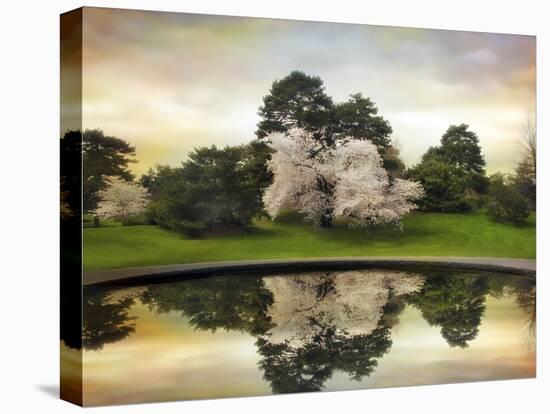 Fountain Reflections-Jessica Jenney-Stretched Canvas