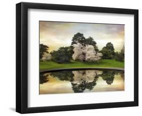 Fountain Reflections-Jessica Jenney-Framed Premium Giclee Print