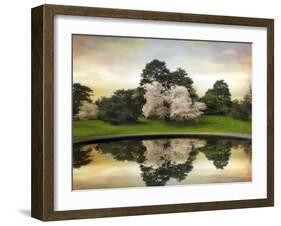 Fountain Reflections-Jessica Jenney-Framed Giclee Print