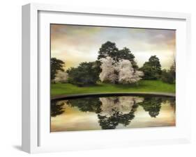 Fountain Reflections-Jessica Jenney-Framed Giclee Print