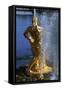 Fountain with Gilded Bronze Samson Statue, Grand Cascade-null-Framed Stretched Canvas