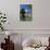 Fountain with Water Lilies, the Mission in the Background, Santa Barbara, California, USA-Tomlinson Ruth-Photographic Print displayed on a wall