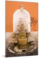 Fountain-Stefano Amantini-Mounted Premium Photographic Print