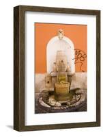 Fountain-Stefano Amantini-Framed Photographic Print