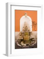 Fountain-Stefano Amantini-Framed Photographic Print