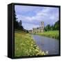 Fountains Abbey, North Yorkshire, England, UK, Europe-Roy Rainford-Framed Stretched Canvas
