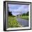 Fountains Abbey, North Yorkshire, England, UK, Europe-Roy Rainford-Framed Photographic Print