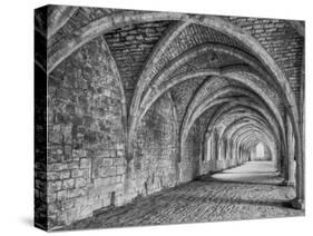 Fountains Abbey Yorkshire England-John Ford-Stretched Canvas