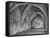 Fountains Abbey Yorkshire England-John Ford-Framed Stretched Canvas
