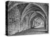 Fountains Abbey Yorkshire England-John Ford-Stretched Canvas