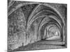 Fountains Abbey Yorkshire England-John Ford-Mounted Photographic Print