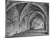 Fountains Abbey Yorkshire England-John Ford-Mounted Photographic Print
