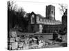 Fountains Abbey-null-Stretched Canvas