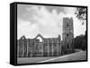 Fountains Abbey-Fred Musto-Framed Stretched Canvas
