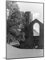 Fountains Abbey-null-Mounted Photographic Print