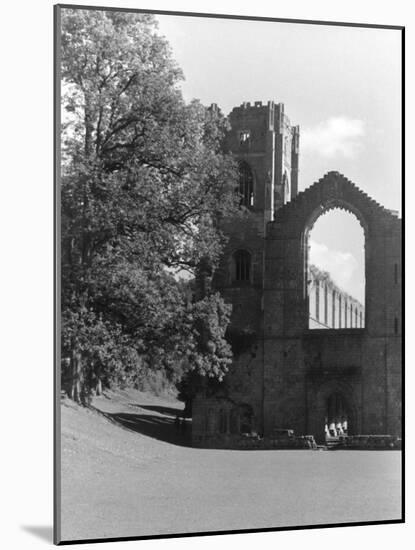 Fountains Abbey-null-Mounted Photographic Print