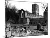 Fountains Abbey-null-Mounted Photographic Print