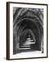 Fountains Abbey-null-Framed Photographic Print