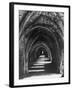 Fountains Abbey-null-Framed Photographic Print