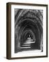 Fountains Abbey-null-Framed Photographic Print