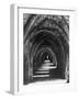 Fountains Abbey-null-Framed Photographic Print