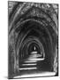 Fountains Abbey-null-Mounted Photographic Print