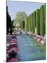 Fountains in Gardens, Cordoba, Andalucia (Andalusia), Spain-James Emmerson-Mounted Photographic Print