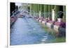 Fountains in Gardens, Cordoba, Andalucia (Andalusia), Spain-James Emmerson-Framed Photographic Print