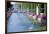 Fountains in Gardens, Cordoba, Andalucia (Andalusia), Spain-James Emmerson-Framed Photographic Print