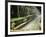 Fountains in Maria Luisa Park, Seville, Andalucia, Spain-Nedra Westwater-Framed Photographic Print