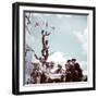 Four Allied Soldiers Inspect a Map in the Centre of a Town in Normandy, June 1944-null-Framed Photographic Print