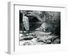 Four Alligators, in a Panorama Setting with a Banana Tree, at London Zoo in 1929 (B/W Photo)-Frederick William Bond-Framed Giclee Print