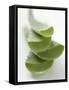 Four Aloe Vera Leaves, in a Pile-null-Framed Stretched Canvas