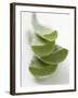 Four Aloe Vera Leaves, in a Pile-null-Framed Photographic Print