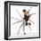 Four Ballerinas-Tim Pannell-Framed Photographic Print