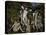 Four Bathers, 1888-1890-Paul Cézanne-Stretched Canvas