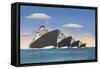 Four Big Ocean Liners-null-Framed Stretched Canvas