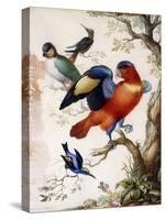 Four Birds in Wood-Herman Henstenburgh-Stretched Canvas