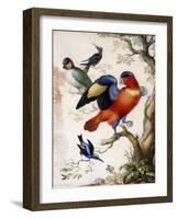 Four Birds in Wood-Herman Henstenburgh-Framed Giclee Print