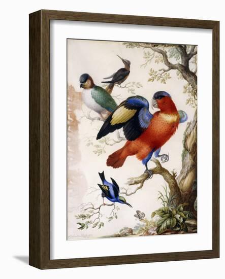 Four Birds in Wood-Herman Henstenburgh-Framed Giclee Print